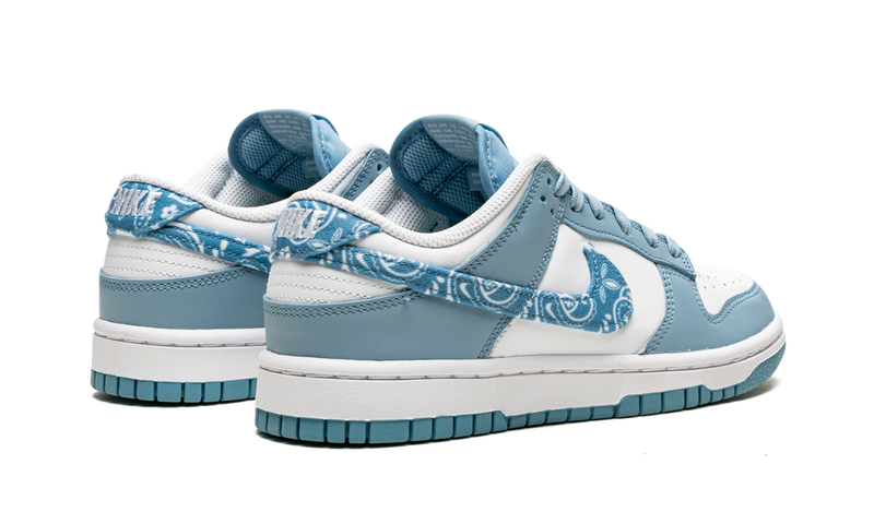 Nike Dunk Low Essential Paisley Pack Worn